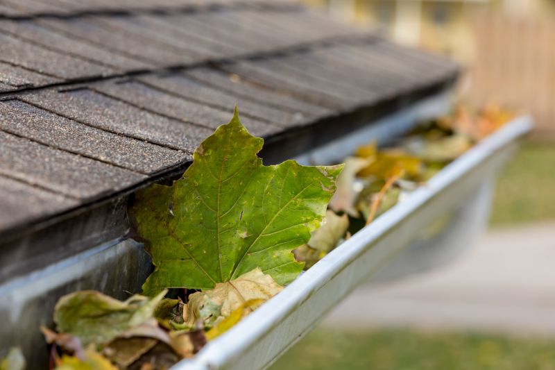 Contact Professional Gutter Services